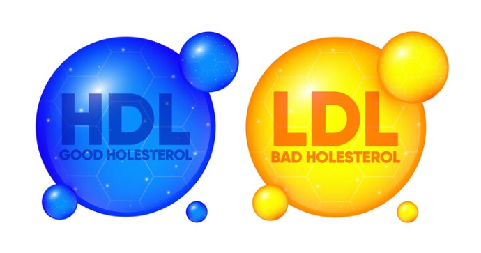 Mengenal Apa itu Kolesteol Baik (HDL) Lebih Dalam
