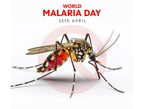 Hari Malaria Sedunia 25 April 2024, Ketahui Apa Itu Malaria