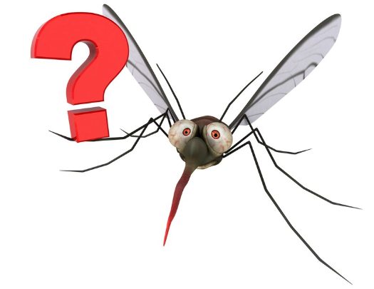 Apa Perbedaan Antara Demam Berdarah Dan Malaria